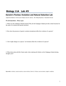 Biology 11A   Lab #9
