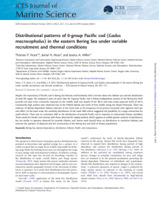Distributional patterns of 0-group Paciﬁc cod ( Gadus