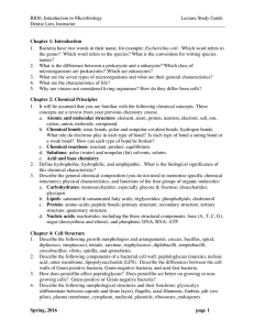 BIO6, Introduction to Microbiology Lecture Study Guide Denise Lim, Instructor
