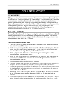 CELL STRUCTURE INTRODUCTION