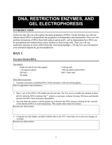 DNA, RESTRICTION ENZYMES, AND GEL ELECTROPHORESIS INTRODUCTION