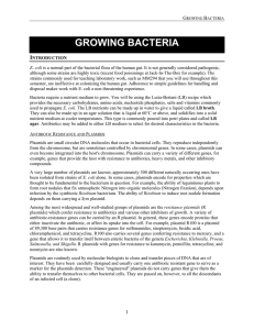 GROWING BACTERIA I  G