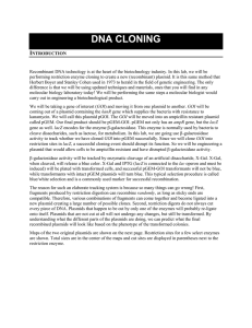 DNA CLONING I