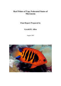 Reef Fishes of Yap, Federated States of Micronesia Final Report Prepared by