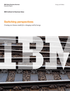 Switching perspectives IBM Institute for Business Value IBM Global Business Services