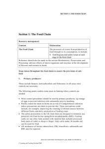 Section 1: The Food Chain stage in the food chain