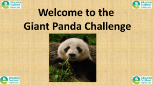 Welcome to the Giant Panda Challenge