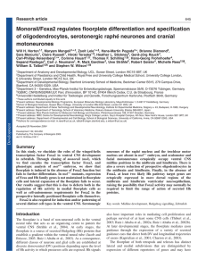 Monorail/Foxa2 regulates floorplate differentiation and specification