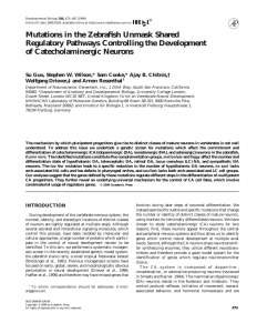 Mutations in the Zebrafish Unmask Shared Regulatory Pathways Controlling the Development