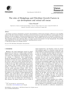 The roles of Hedgehogs and Fibroblast Growth Factors in Claire Russell