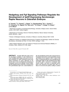 Hedgehog and Fgf Signaling Pathways Regulate the tphR