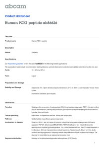 Human PCK1 peptide ab86626 Product datasheet Overview Product name