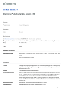 Human PCK2 peptide ab87120 Product datasheet Overview Product name