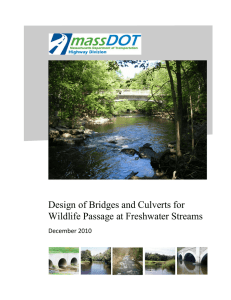Design of Bridges and Culverts for Wildlife Passage at Freshwater Streams  