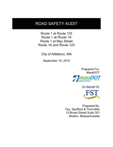 ROAD SAFETY AUDIT