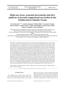 High-use areas, seasonal movements and dive Southwestern Atlantic Ocean