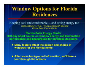Window Options for Florida Residences