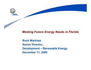 Meeting Future Energy Needs in Florida Buck Martinez Senior Director,