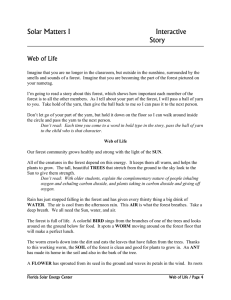 Solar Matters I  Interactive Story