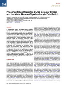 Article Phosphorylation Regulates OLIG2 Cofactor Choice and the Motor Neuron-Oligodendrocyte Fate Switch Neuron