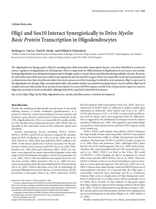 Olig1 and Sox10 Interact Synergistically to Drive Myelin Basic Protein Cellular/Molecular