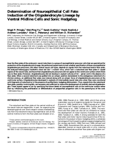 Determination of Neuroepithelial Cell Fate: Induction of the Oligodendrocyte Lineage by