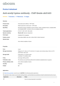 Anti-acetyl Lysine antibody - ChIP Grade ab21623 Product datasheet 7 Abreviews 6 Images