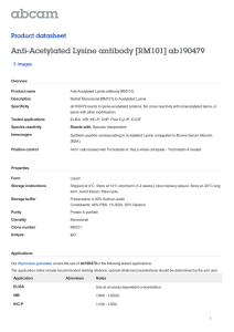 Anti-Acetylated Lysine antibody [RM101] ab190479 Product datasheet 3 Images Overview