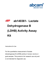 ab140361-  Lactate Dehydrogenase B (LDHB) Activity Assay Kit