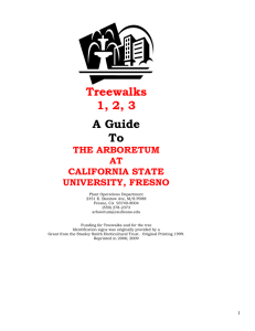 Treewalks 1, 2, 3 A Guide