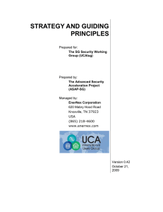 STRATEGY AND GUIDING PRINCIPLES