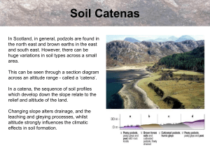 Soil Catenas