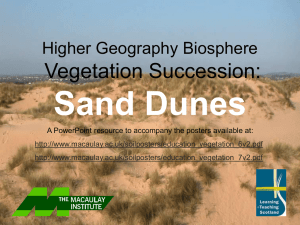 Sand Dunes Vegetation Succession: Higher Geography Biosphere