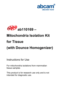 ab110169 – Mitochondria Isolation Kit for Tissue (with Dounce Homogenizer)