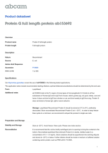 Protein G full length protein ab153692 Product datasheet