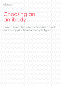 Choosing an antibody  How to select between antibodies based