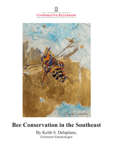 Bee Conservation in the Southeast By Keith S. Delaplane, Extension Entomologist