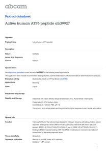 Active human ATF6 peptide ab39927 Product datasheet Overview Product name