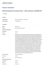 Recombinant human Bcr + Ret protein ab204103 Product datasheet 2 Images Overview
