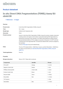 In situ Direct DNA Fragmentation (TUNEL) Assay Kit ab66108