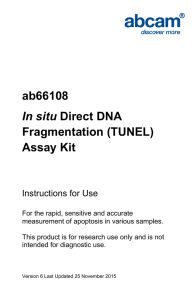 ab66108 Fragmentation (TUNEL) Assay Kit In situ