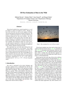 3D Pose Estimation of Bats in the Wild