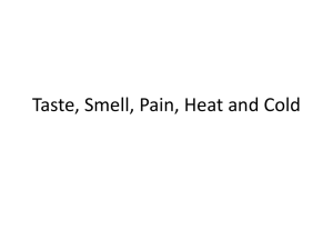 Taste, Smell, Pain, Heat and Cold