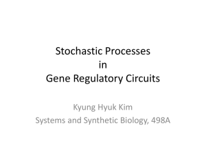 Stochastic Processes in Gene Regulatory Circuits Kyung Hyuk Kim