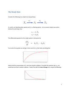 The Steady State