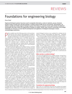 Foundations for engineering biology