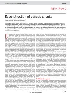 Reconstruction of genetic circuits