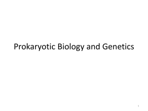 Prokaryotic Biology and Genetics 1