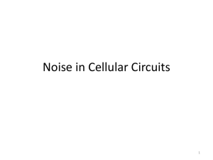 Noise in Cellular Circuits 1