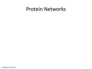 Protein Networks 1 Copyright © 2008: Sauro